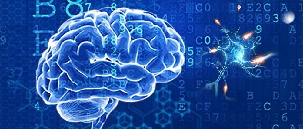 88天見(jiàn)證| AI賦能爆破1000萬(wàn)，醫真AI+生態(tài)初露鋒芒